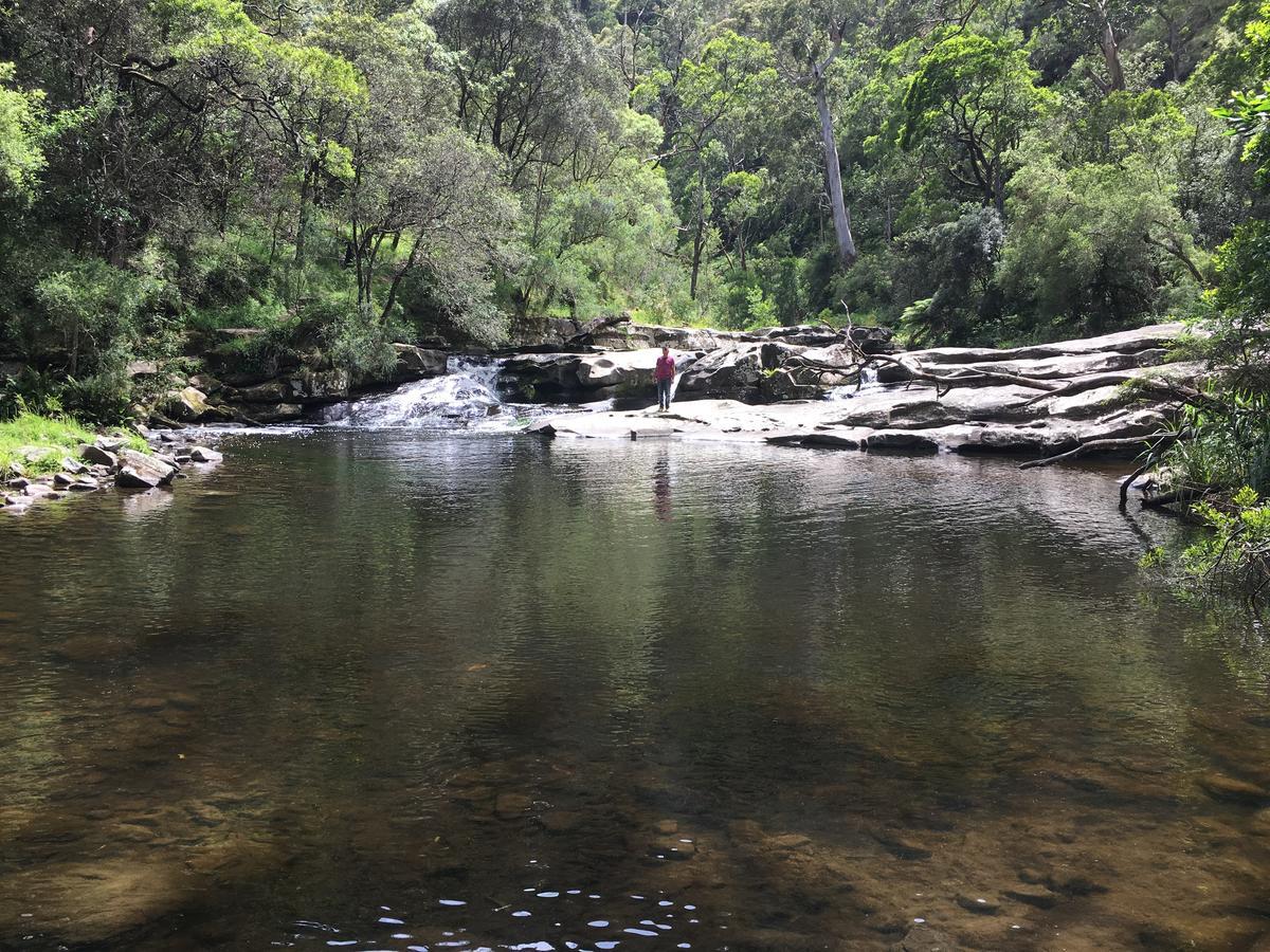 Cumberland River Holiday Park Lorne Luaran gambar
