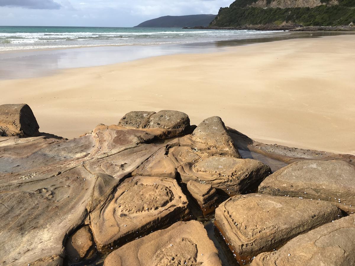 Cumberland River Holiday Park Lorne Luaran gambar